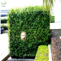 China wholesale synthetic vertical hedge garden foliage for interior decoration